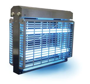 Lampa